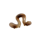 TRANSLUCENT WAVE CLAW CLIP - BROWN