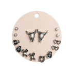SILVER TRAILS EARRING SET