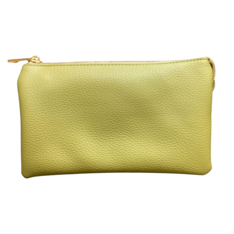 LARGE 5 COMPARTMENT CROSSBODY OR WRISTLET - LIGHT GREEN 