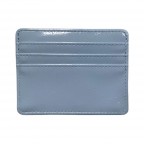 CREDIT CARD HOLDER - BLUE 