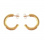 STAINLESS STEEL HOOP - GOLD 