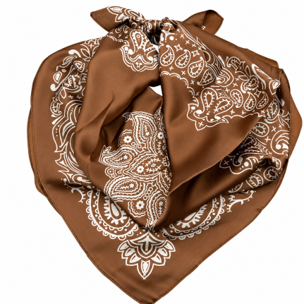 PRINT SILK SCARF - BROWN 